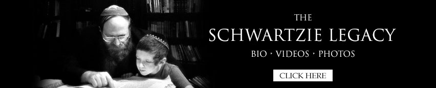 SchwartzieLegacyBanner